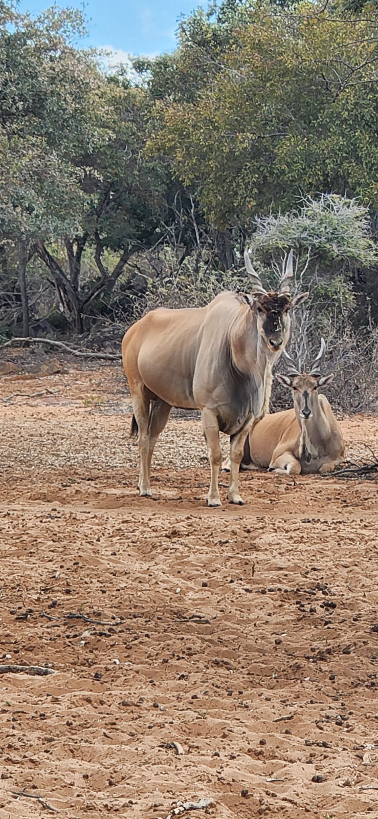 WhatsApp Image 2026-04-08 at 12.31