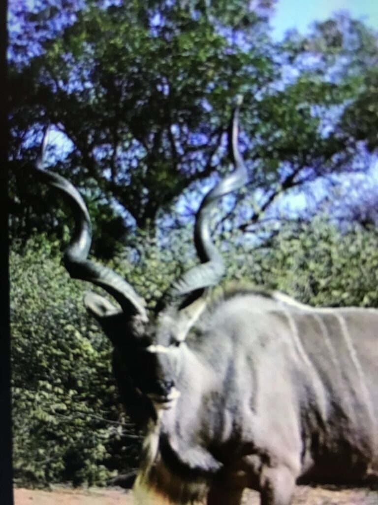 WhatsApp Image 2026-04-08 at 12.31