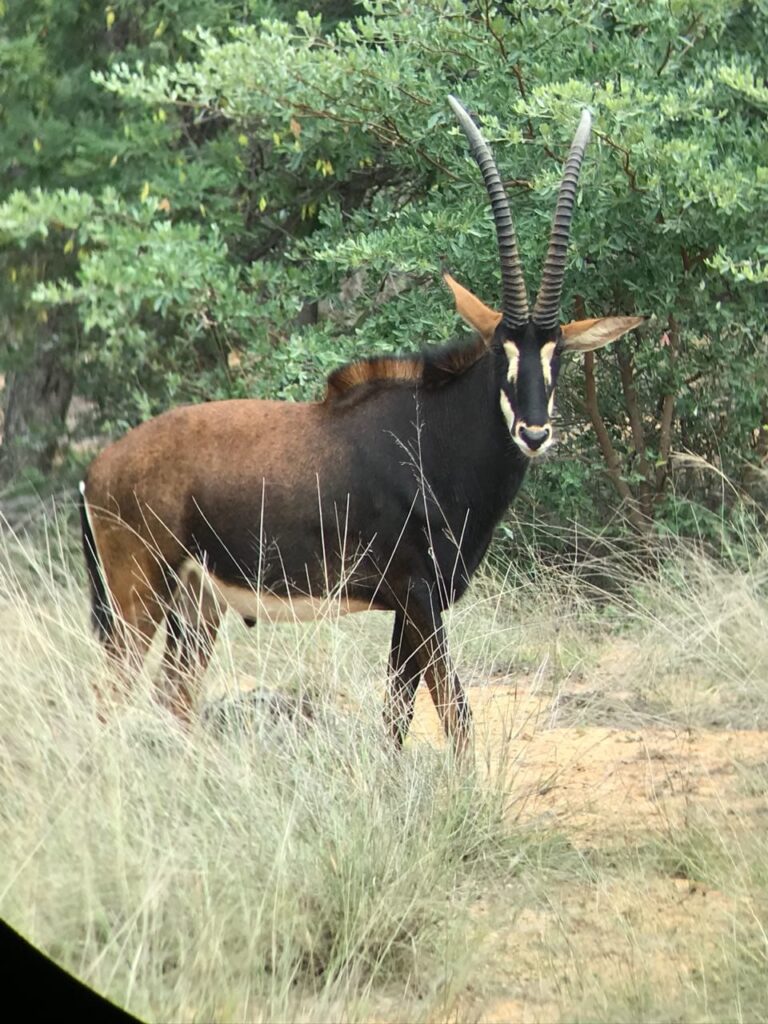 WhatsApp Image 2026-04-08 at 12.31