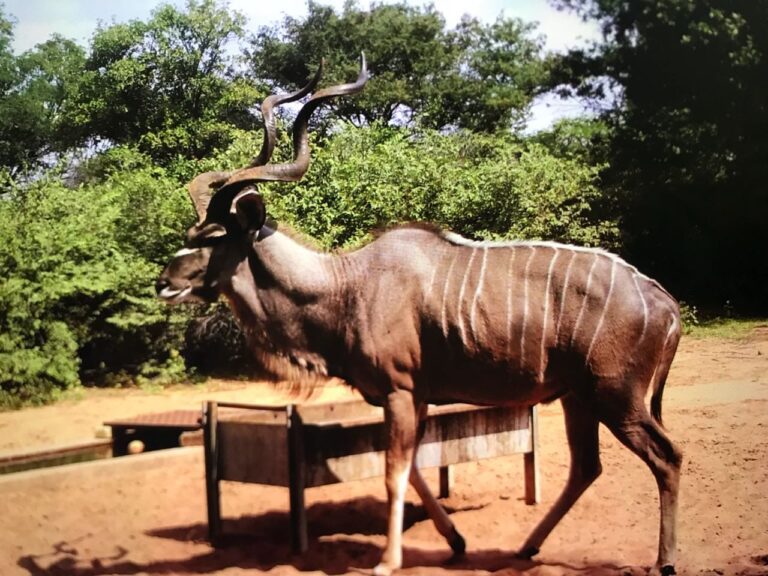 WhatsApp Image 2026-04-08 at 12.31