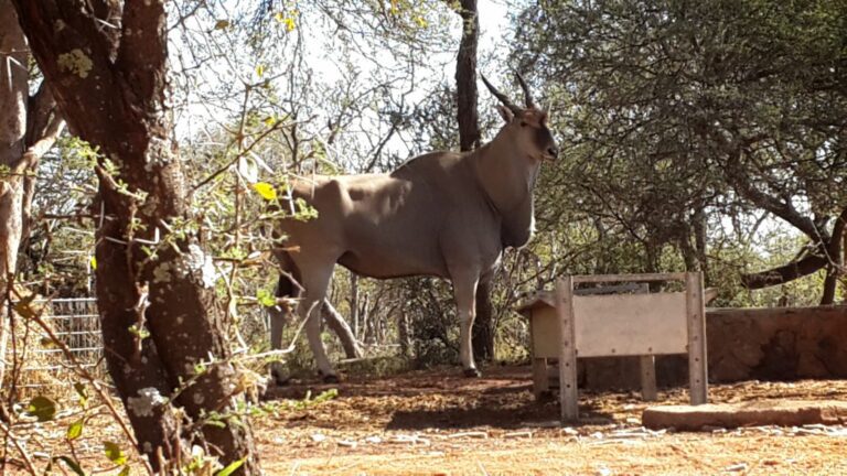 WhatsApp Image 2026-04-08 at 12.31