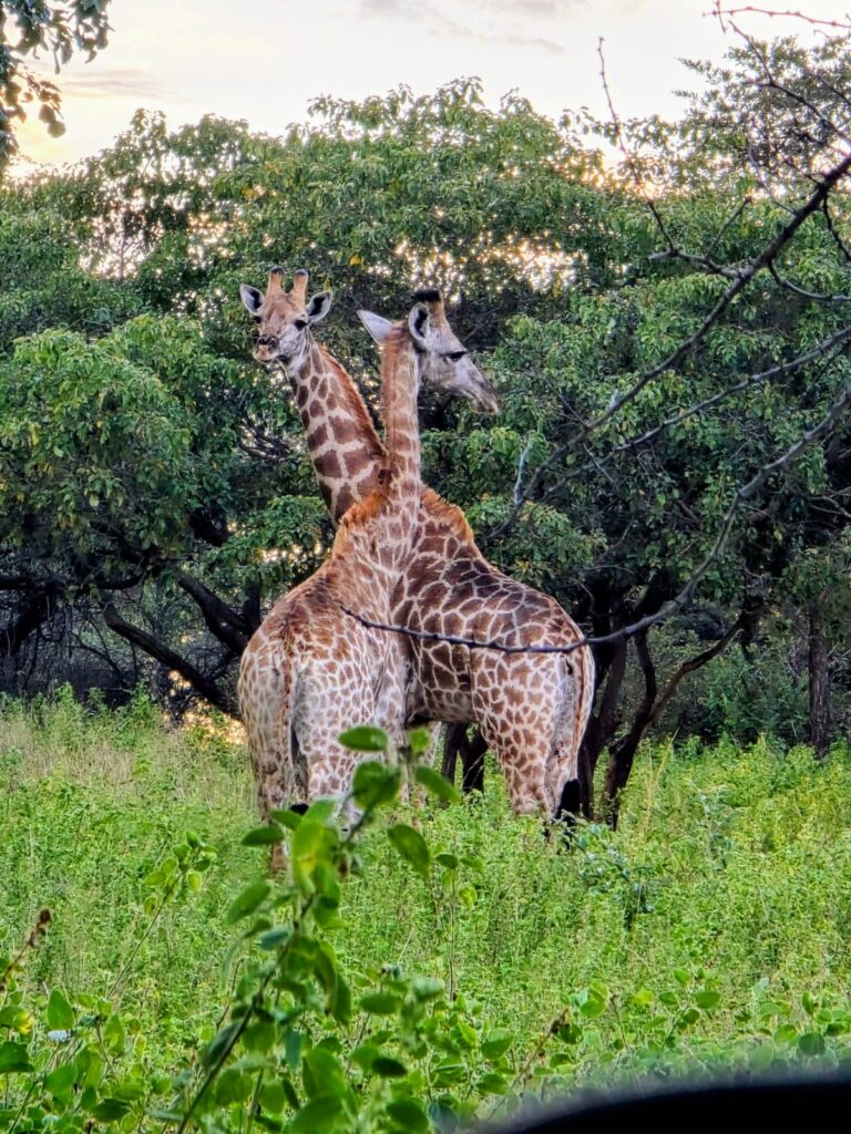 WhatsApp Image 2026-04-08 at 12.32