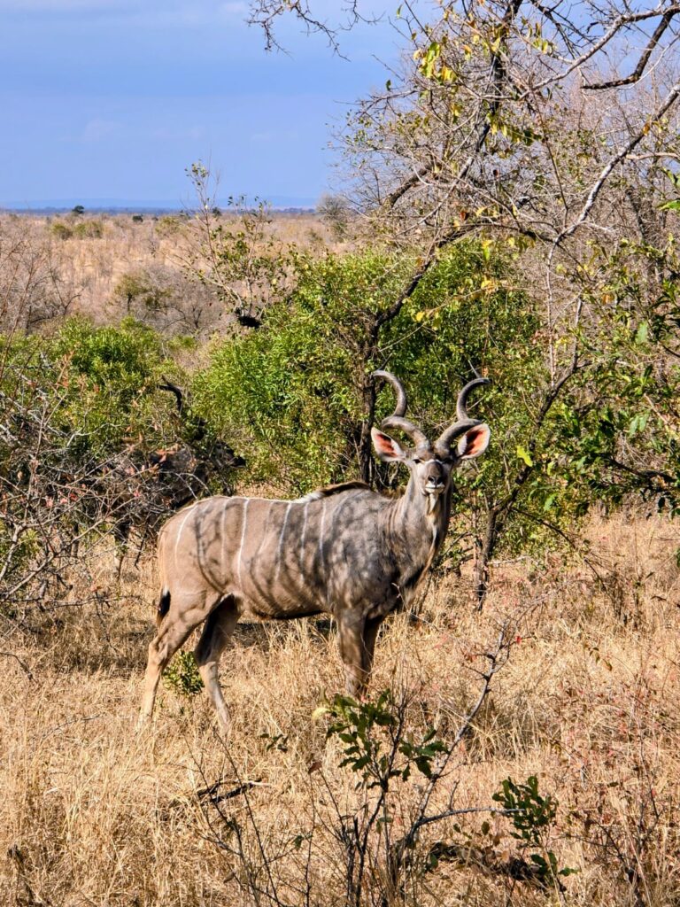 WhatsApp Image 2026-04-08 at 12.32