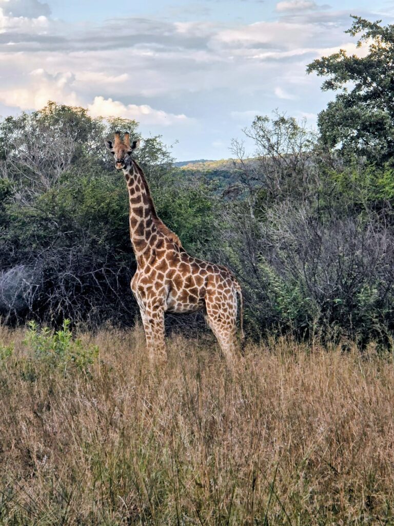 WhatsApp Image 2026-04-08 at 12.32