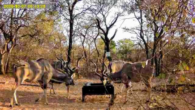 WhatsApp Image 2026-04-09 at 12.11