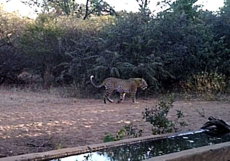 WhatsApp Image 2026-04-09 at 12.11