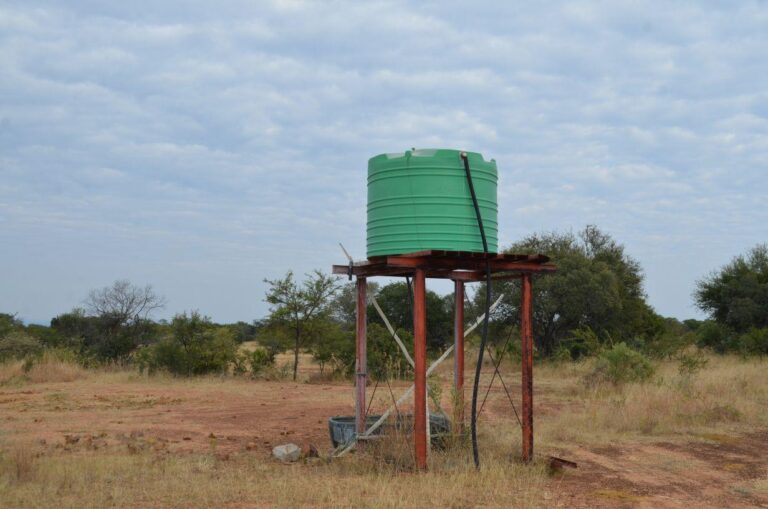 WhatsApp Image 2026-04-22 at 14.06