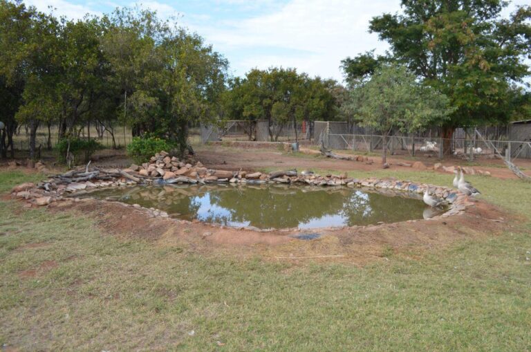 WhatsApp Image 2026-04-22 at 14.06