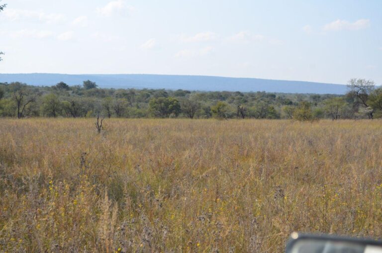 WhatsApp Image 2026-04-22 at 14.06