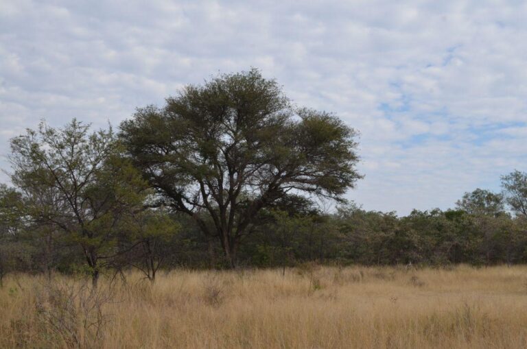 WhatsApp Image 2026-04-22 at 14.06