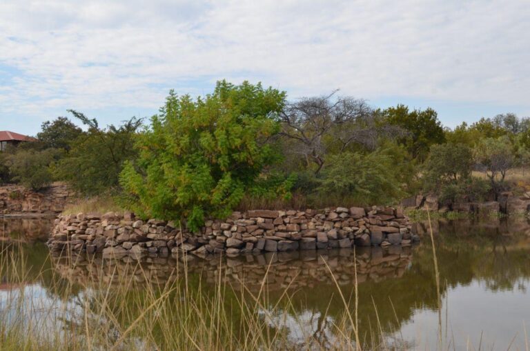 WhatsApp Image 2026-04-22 at 14.06