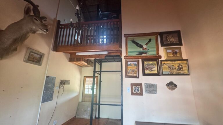 WhatsApp Image 2026-04-22 at 14.06