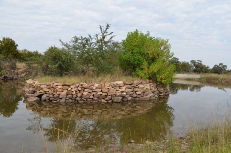 WhatsApp Image 2026-04-22 at 14.06