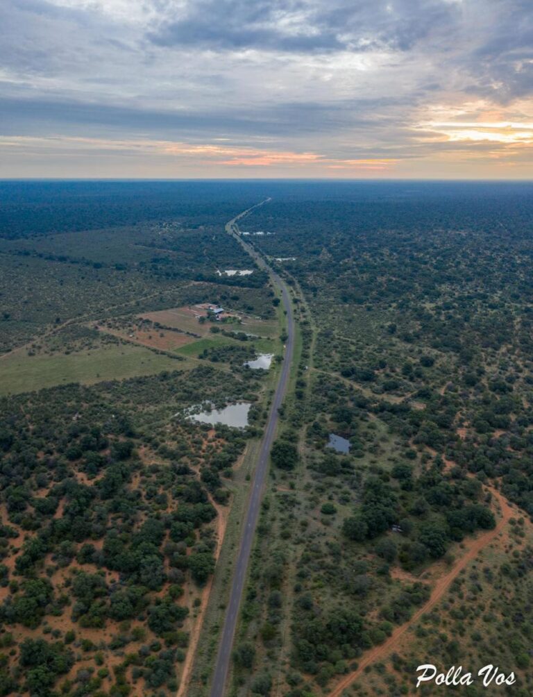 a8b282e4-dcd0-40ee-85b0-a608cf2ce769