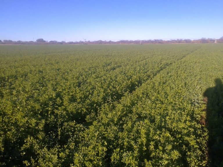 c5668c61-e130-41dc-8cc9-38ad276df363