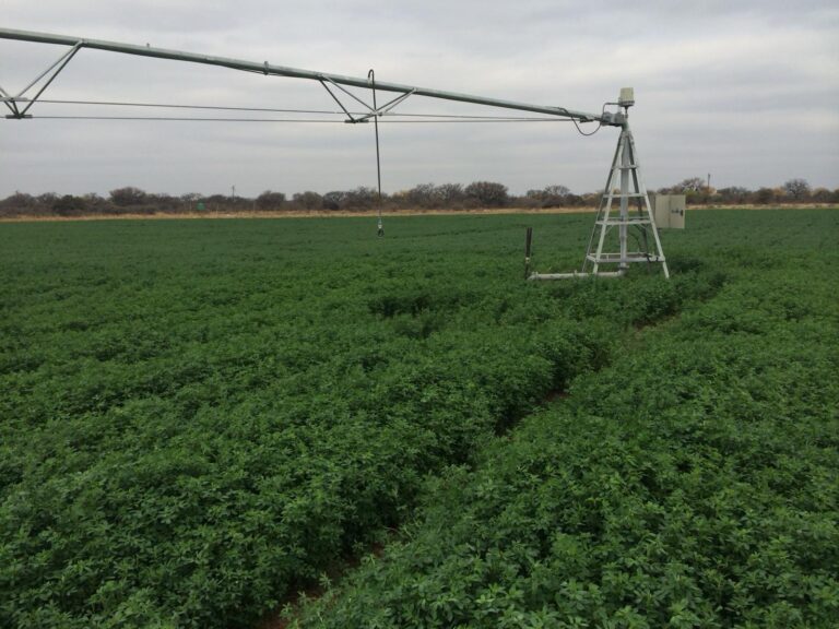 ce11814e-a0bf-424a-94b5-2fc362cef190