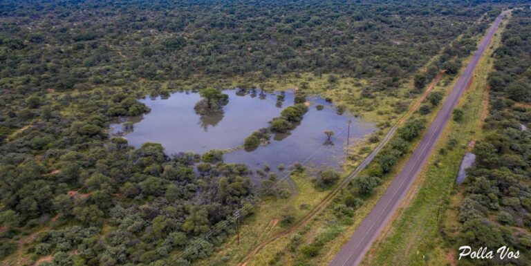 df818eeb-d004-4efd-b40b-653e274b2133