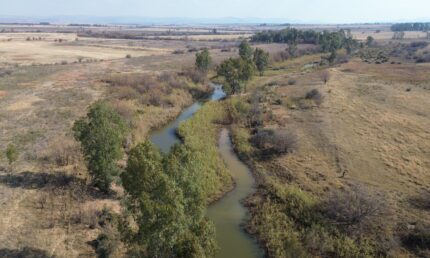 "KNOPFONTEIN" An Established Limpopo Cattle Farm