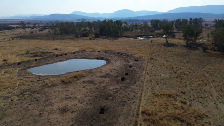 DCIM102MEDIADJI_0176