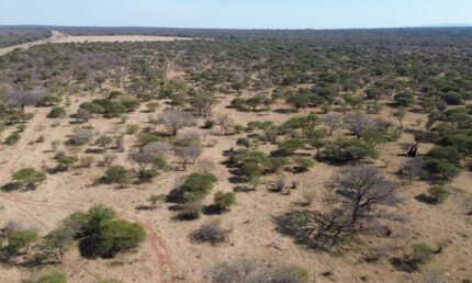 "MURCHISON 6" an Established Cattle Farm in Limpopo