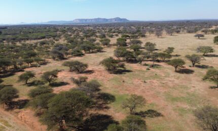 "NALEDI" a 513.9 ha Cattle Farm in Marken, Limpopo