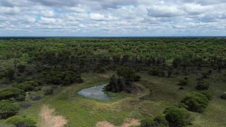 DCIM101MEDIADJI_0204