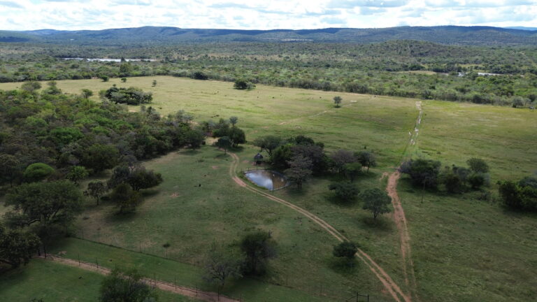 DCIM101MEDIADJI_0775